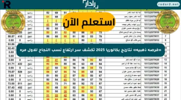 «فرصة ذهبية» نتائج بكالوريا 2025 تكشف سر ارتفاع نسب النجاح للأول مرة